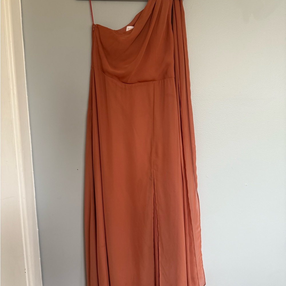 Birdy Grey Terracotta Dress